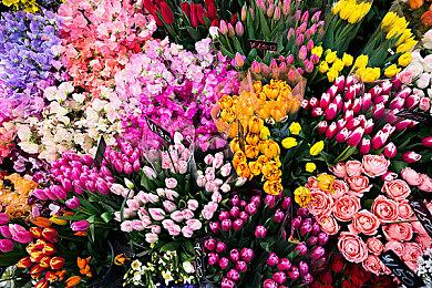 《战神：诸神黄昏》角色视觉图 奎爷依旧霸气